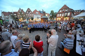 Impressionen vom Shantychor-Festival auf dem Stader Fischmarkt. Foto: djd/Tourismusverband Landkreis Stade/Martin Elsen