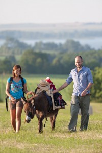 Wandern ohne Gepäck - in der Uckermark heißt das: Ein Esel marschiert mit. Foto: djd/tmu Uckermark/Klaus-Peter Kappest