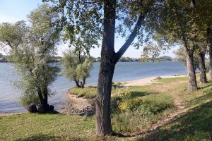 Auf der 220 Kilometer langen Wanderung ergeben sich immer wieder schöne Ausblicke auf die Donau. Foto: djd/Tourismusverband Ostbayern e.V./Michael Körner