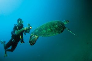 Faszinierende Natur erwartet den Oman-Urlauber auch unter Wasser: Schnorchler und Taucher schätzen die Möglichkeiten ganz besonders. Foto: djd/Sultanate of Oman