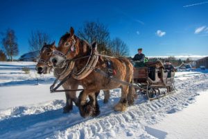 In Benneckenstein starten winterliche Kutschfahrten durch den verschneiten Oberharz. Foto: djd/Tourismusbetrieb der Stadt Oberharz am Brocken - Rübeländer Tropfsteinhöhlen/Jan Reichel