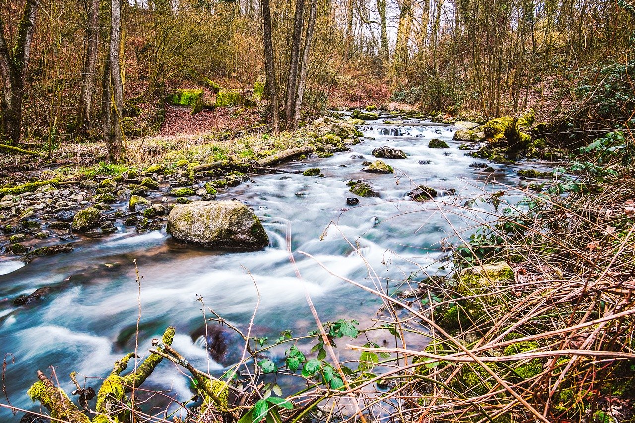 Der Fluss Düssel im Kreis Mettmann