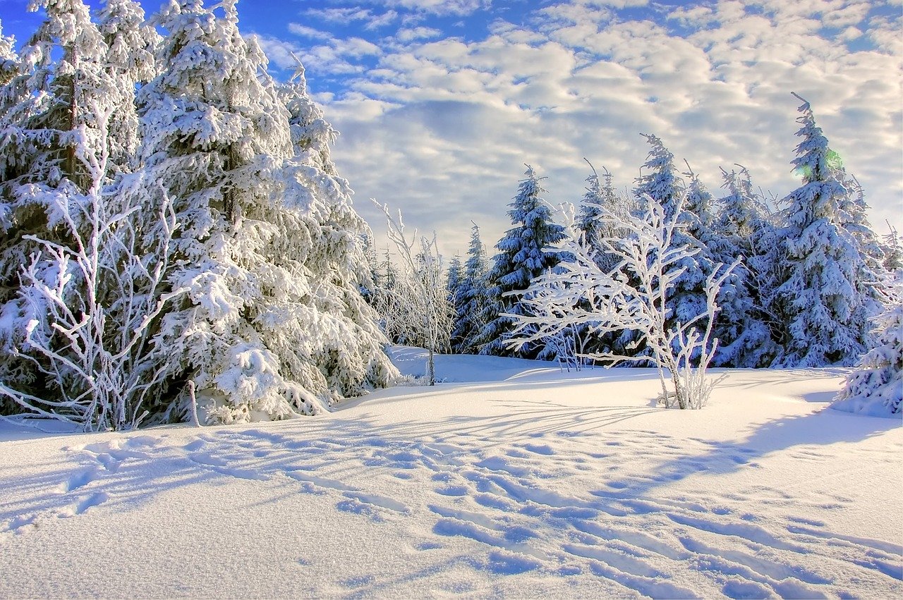 Winterlandschaft im Harz - ideal zum Skifahren