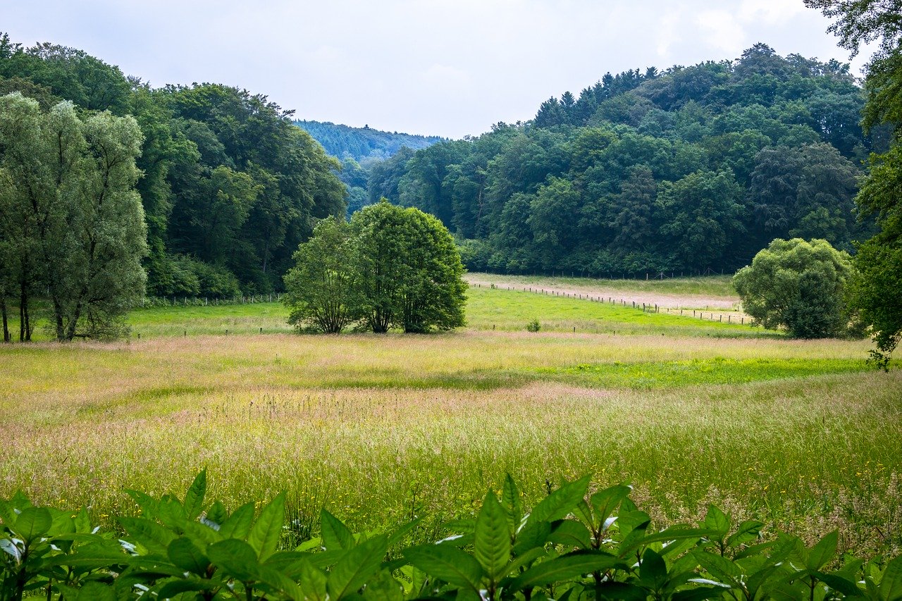 Bergisches Land bei Wuppertal