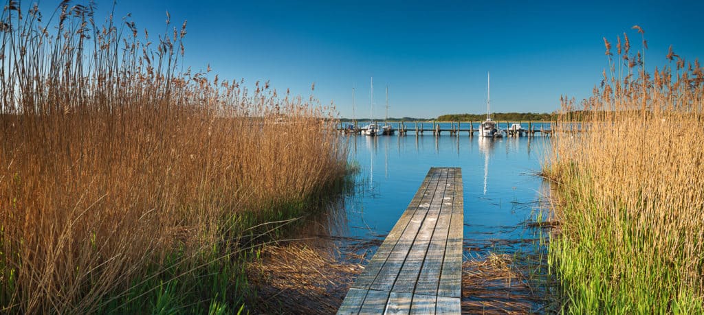 Seglerhafen, Steg im Schilf, Insel Rügen, Mecklenburg-Vorpommer