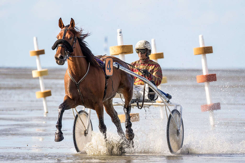Wattrennen in Cuxhaven